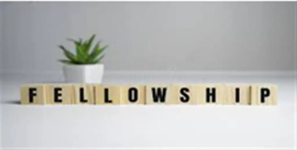 Fellowships