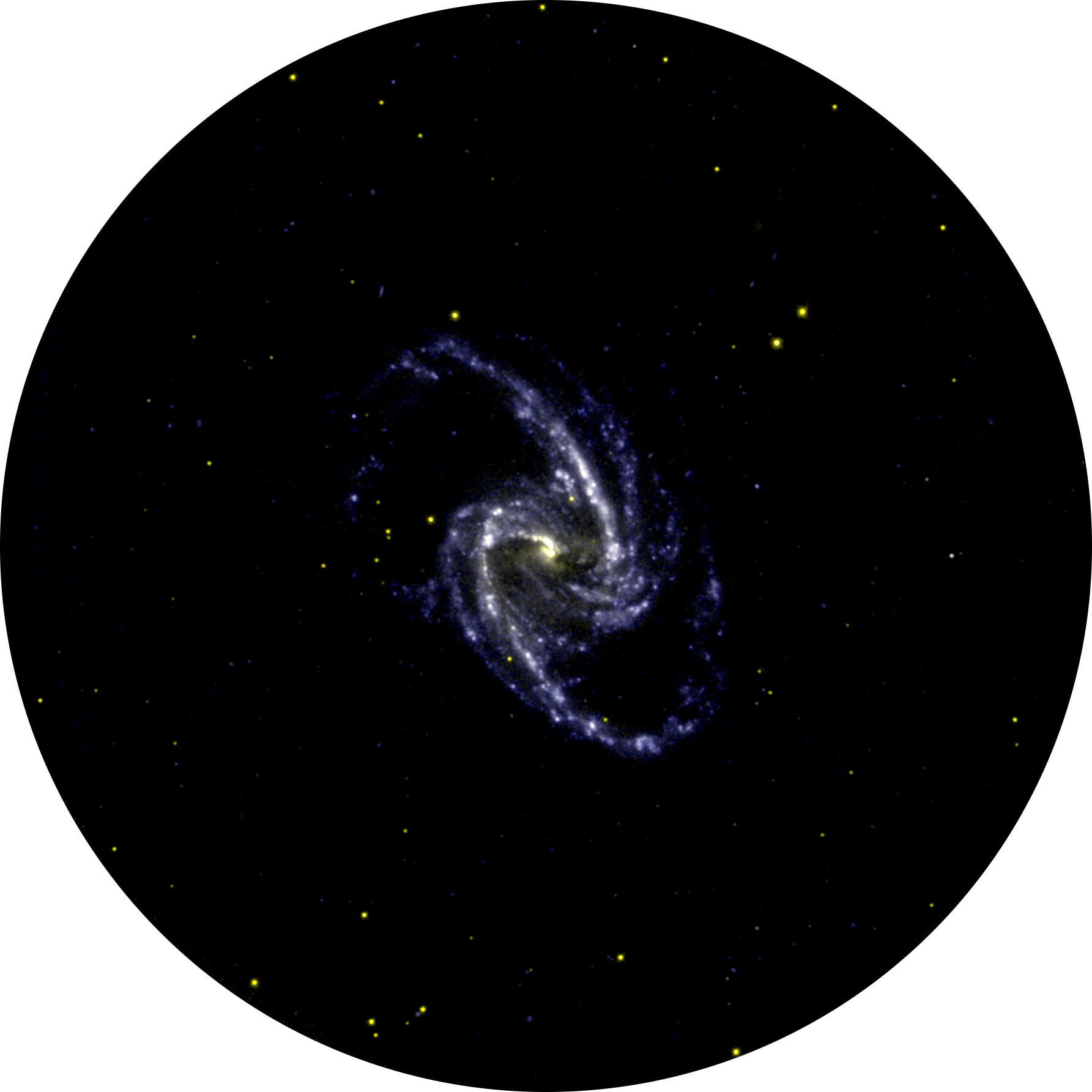 NGC1365 as seen by AstroSat UVIT is also known as Fornax propeller galaxy is a double barred galaxy at a distance of 56 million light years away