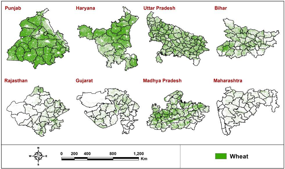 Wheat Crop Area and Production Estimation in India: A Pilot on Framework Development