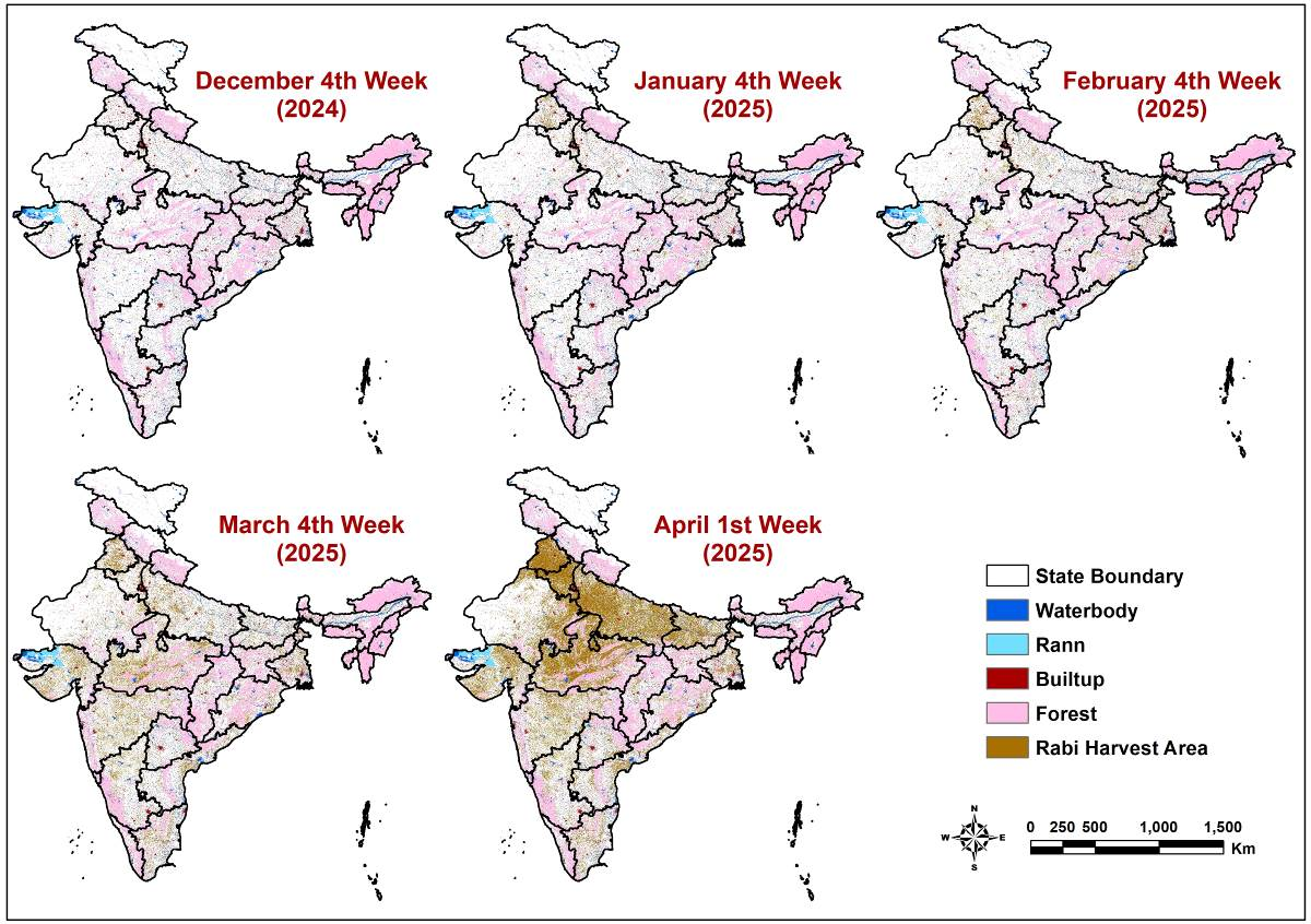 Wheat Crop Area and Production Estimation in India: A Pilot on Framework Development