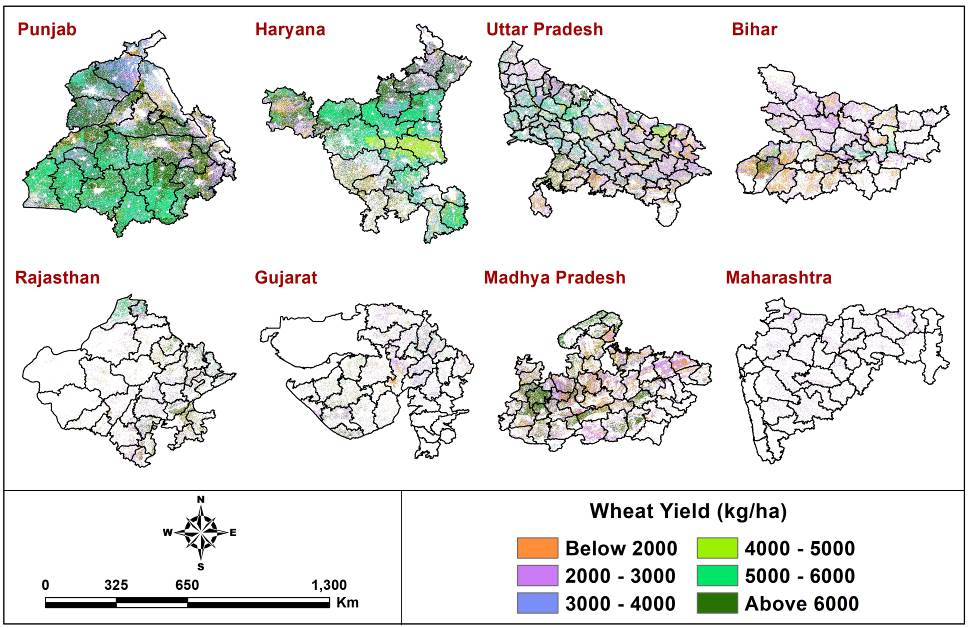 Wheat Crop Area and Production Estimation in India: A Pilot on Framework Development