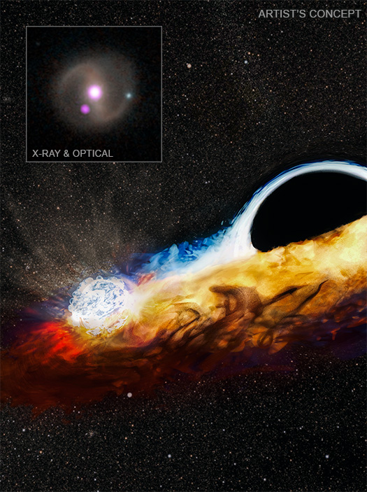 Quasi-periodic X-ray eruptions years after a nearby tidal disruption event