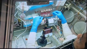Update on Microgravity Research Experiments onboard the International Space Station