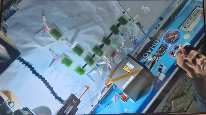 Update on Microgravity Research Experiments onboard the International Space Station