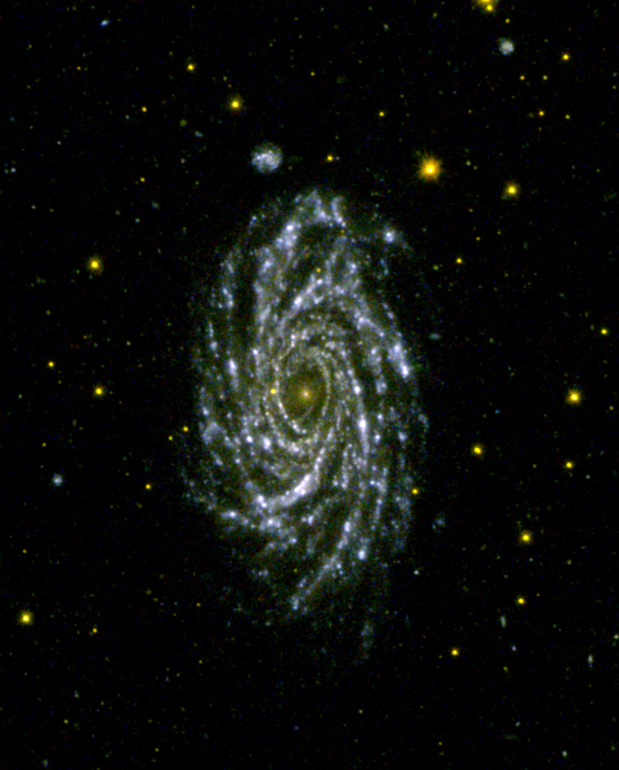NGC 2336 a barred spiral galaxy 100 million light years away as seen by AstroSat UVIT