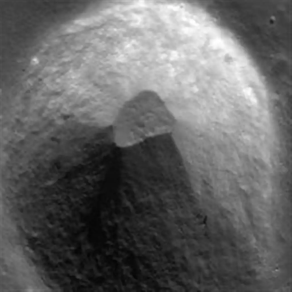 Findings image of Findings